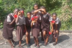 IMG_20190224_224008_425